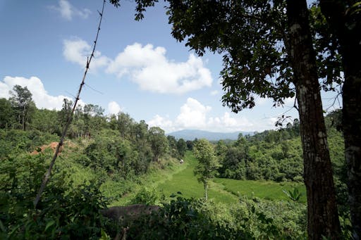 Chang Chill Elephant Sanctuary