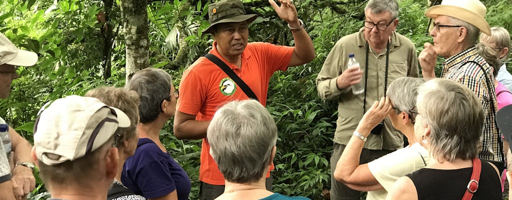 Balinese rainforest walk and canoeing tour