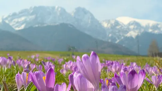 Excursão de um dia a Zakopane e às Montanhas Tatra saindo de Cracóvia