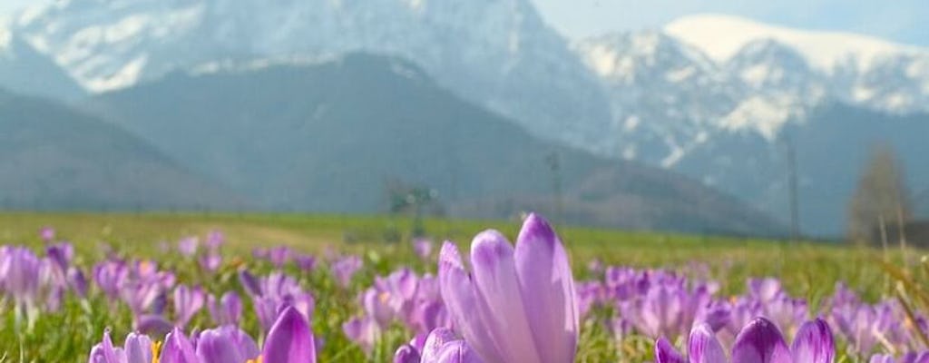 Dagtocht naar Zakopane en het Tatragebergte vanuit Krakau