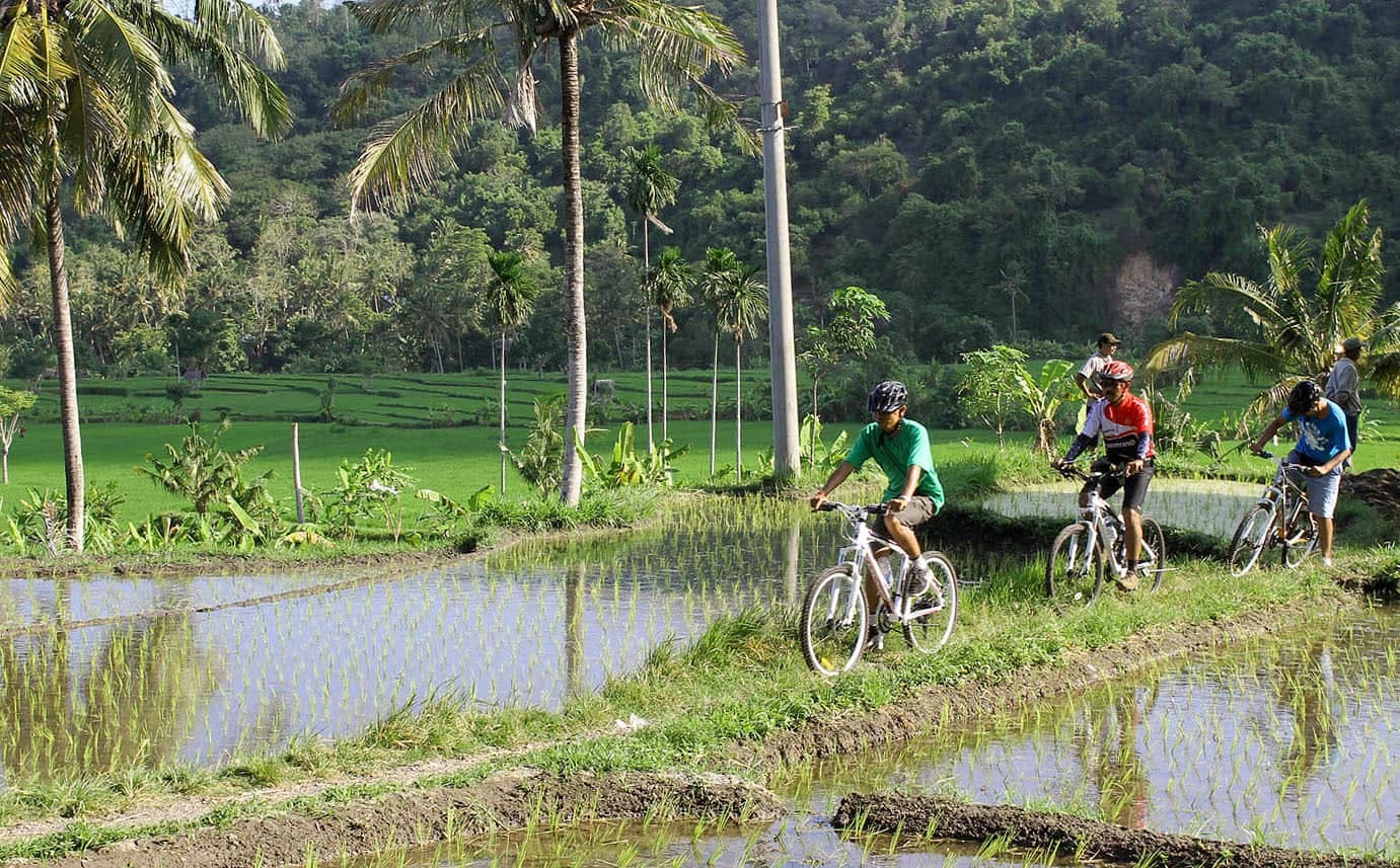 East Bali 4x4 Sunrise Safari & Cycling Tour
