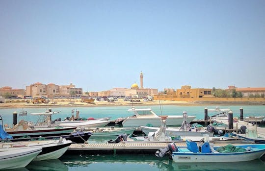 North Qatar Al Khor, Purple Island, mangrove forest and more tour