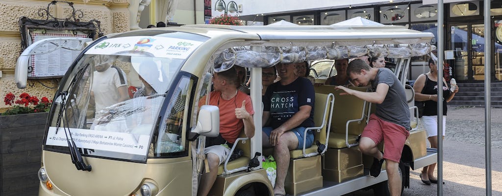 Visite guidée partagée de 2 heures de Gdansk en voiture électrique