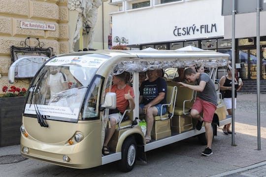 Gdansk 2-hour shared guided tour by electric car