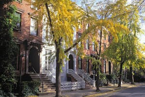 Greenwich Village: Excursiones y visitas guiadas