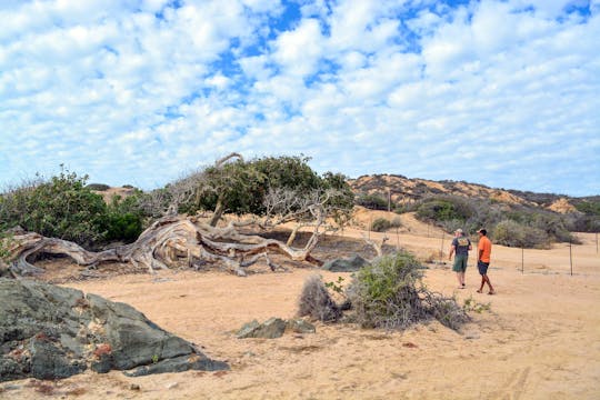 Cabo Pulmo Experience by 4x4