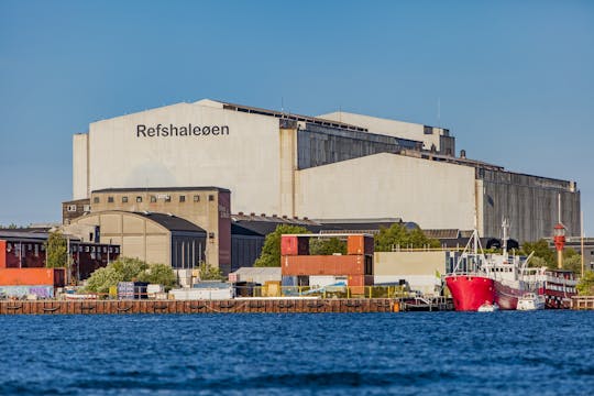 Tour a piedi privato urbano di Copenaghen con un locale