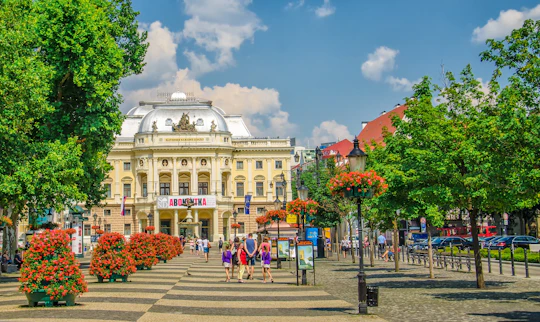 Bratislava walking tour with castle entrance ticket