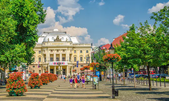 Bratislava walking tour with castle entrance ticket