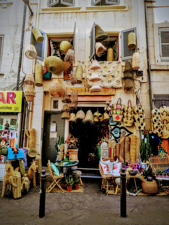 Tour of the Noailles district and its exotic market