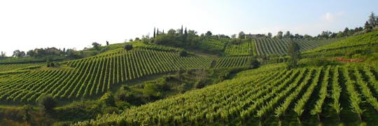 Cultura e paesaggi mozzafiato con degustazione di olio extravergine d'oliva