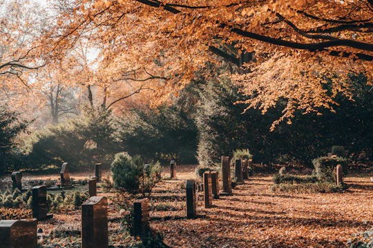 Guided walking tour of the Ohlsdorf cemetery in Hamburg