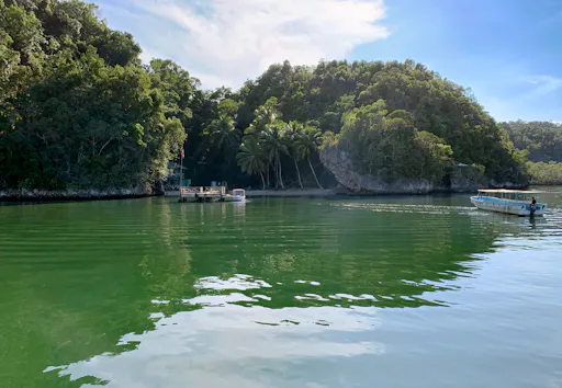 Exclusive Tour of  Los Haitises National Park