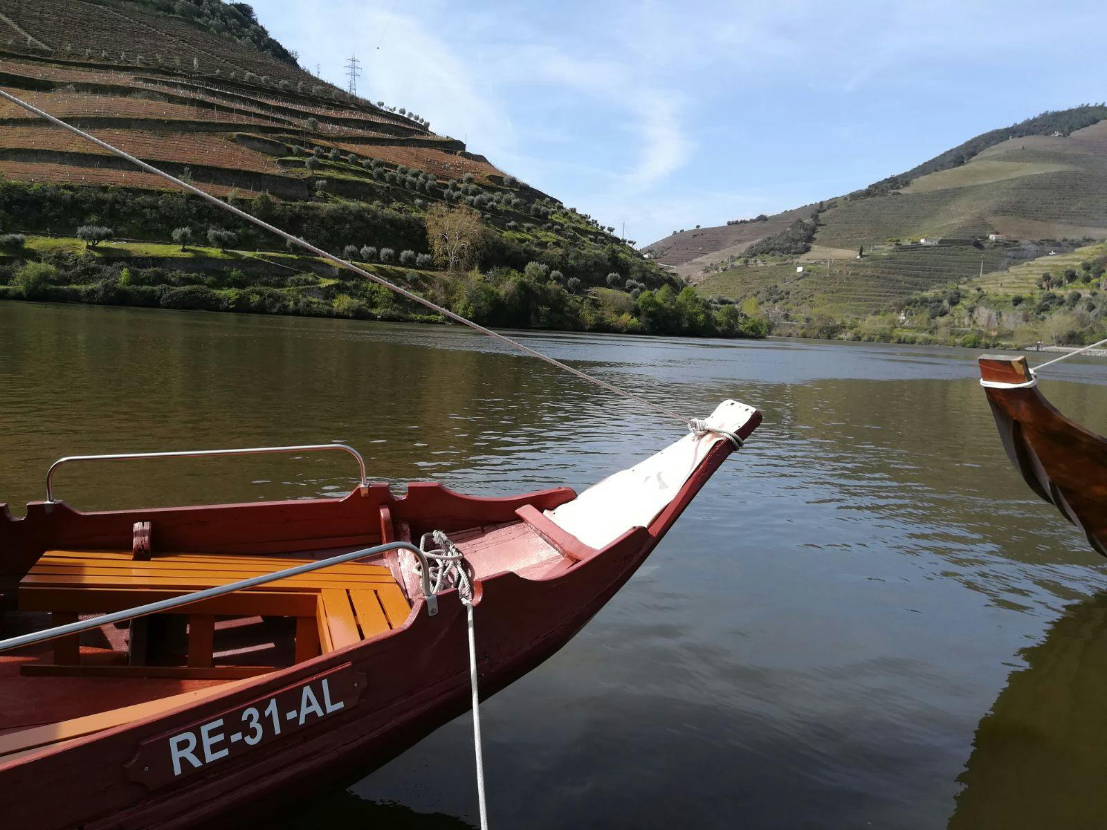 Wycieczka z przewodnikiem po Aveiro i rejs łodzią po kanałach