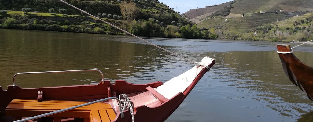 Visita guiada a Aveiro e passeio de barco pelo canal