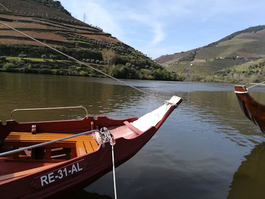 Visita guiada a Aveiro e passeio de barco pelo canal