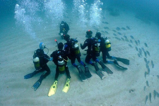Cours de plongée sous-marine au nord de la Crète