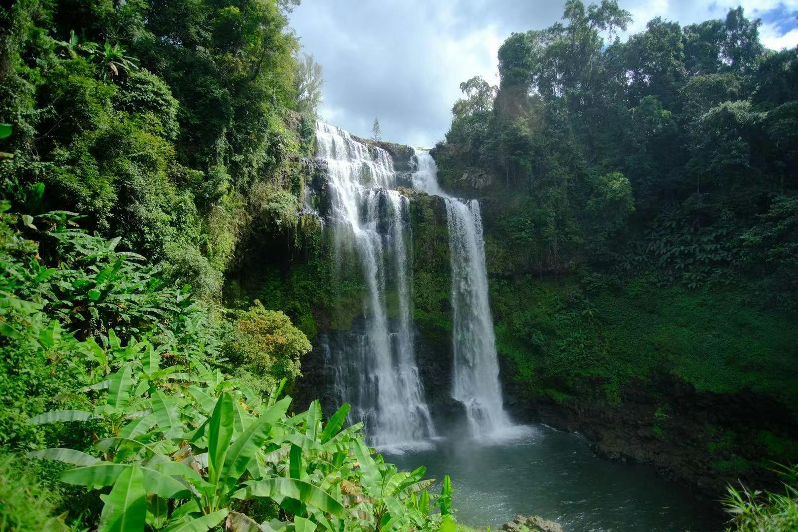 Tad Fane waterfall and Bolaven Plateau coffee full day from Pakse Musement