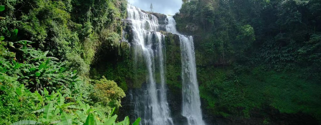 Cachoeira Tad Fane e café Bolaven Plateau dia inteiro de Pakse