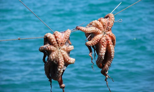 Phu Quoc sunset cruise and night squid fishing tour with dinner