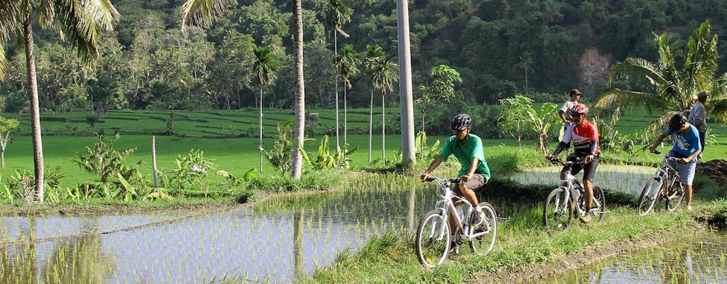 Safari 4x4 classico di Bali orientale con tour in bicicletta