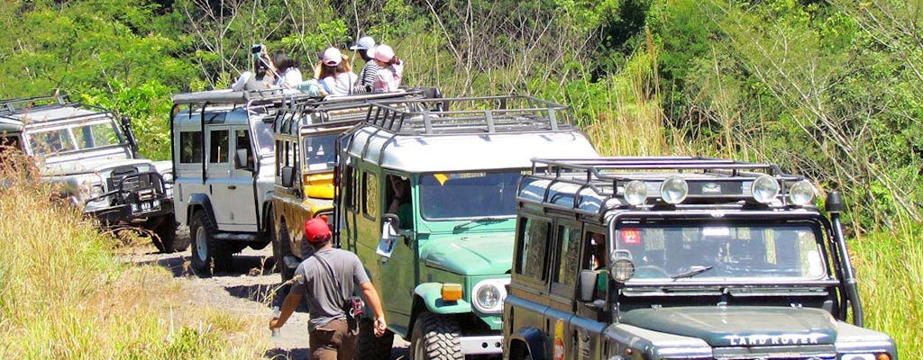 Safari 4x4 a Bali orientale con esperienza di allevamento di Salak