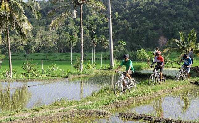 Eastern Bali Classic 4x4 Safari with Cycling Tour