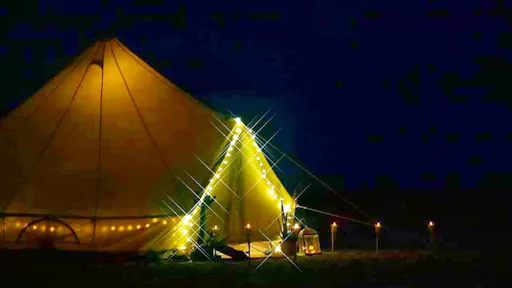 Glamping & Turtle Watching Experience