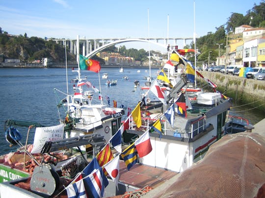 Porto flavors by bike Iconic Insiders small-group tour with a local guide
