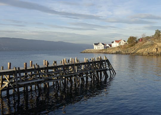 Private tour to Hvitsen from Oslo