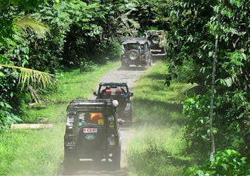 Eastern Bali 4×4 Safari & Salak Plantation Eco Trek