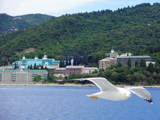 Mount Athos Afternoon Cruise Ticket