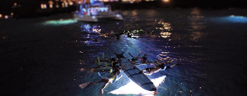 Late night manta ray snorkel experience