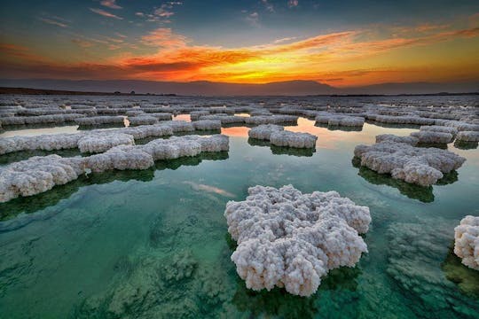 Private full-day tour to the Dead Sea from Petra