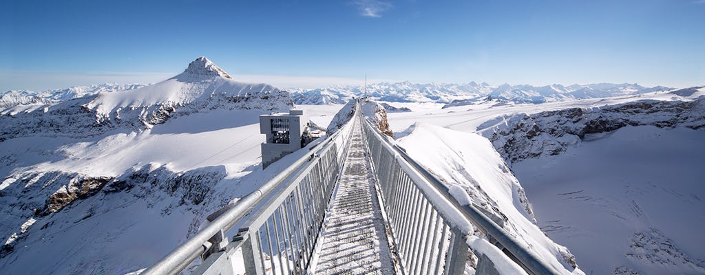 Glacier 3000 viagem privada de um dia saindo de Genebra