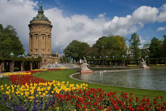 Passeio guiado privado a pé em Mannheim