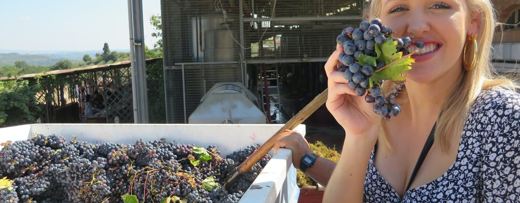 Tour per piccoli gruppi di Pisa e Chianti da Firenze