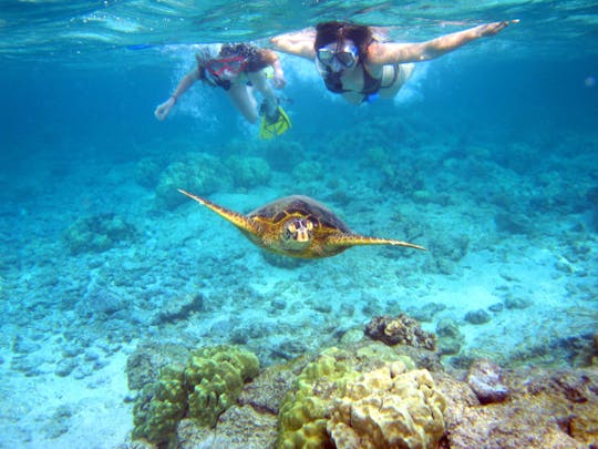 Dominican Republic Scuba Diving Immersion Course