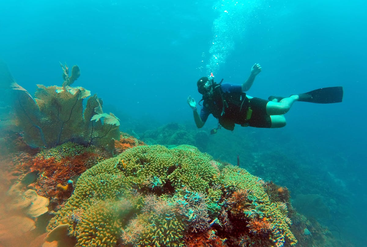 Scuba Diving in Punta Cana