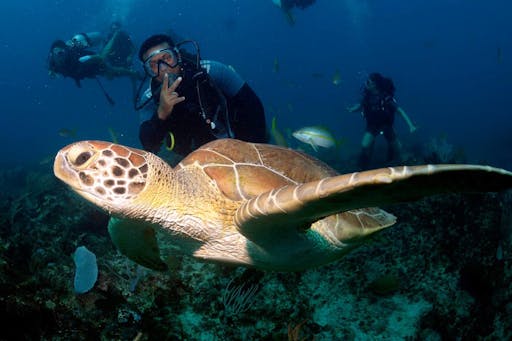 Scuba Diving in Punta Cana