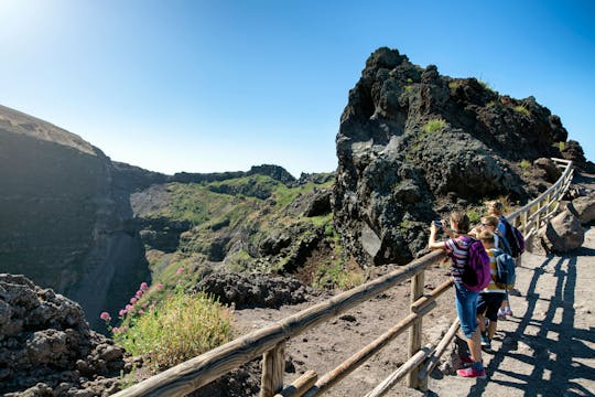 Pompeï & Vesuvius in Privé-Voertuig met Chauffeur