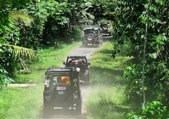 Excursion en 4x4 à l'est de Bali avec visite de l'exploitation agricole de salak