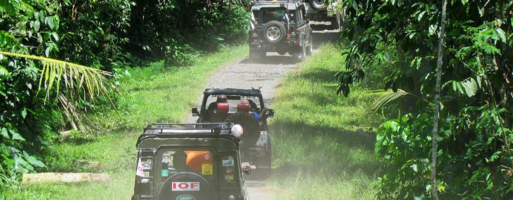 Visite en 4x4 à l'est de Bali et randonnée écologique dans une plantation de Salak