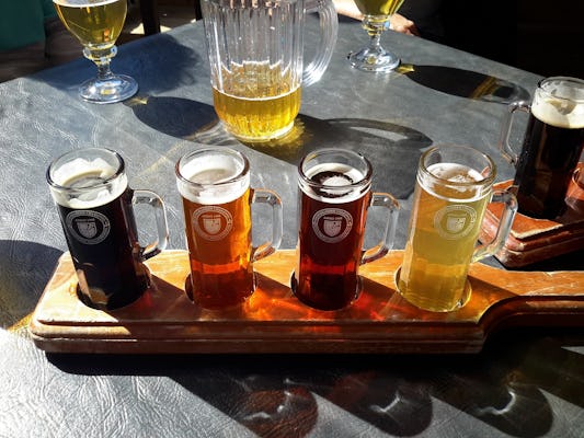 Private Polish beer tasting tour in Lodz
