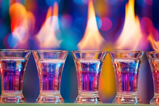 Tour privato di degustazione di vodka a Lodz