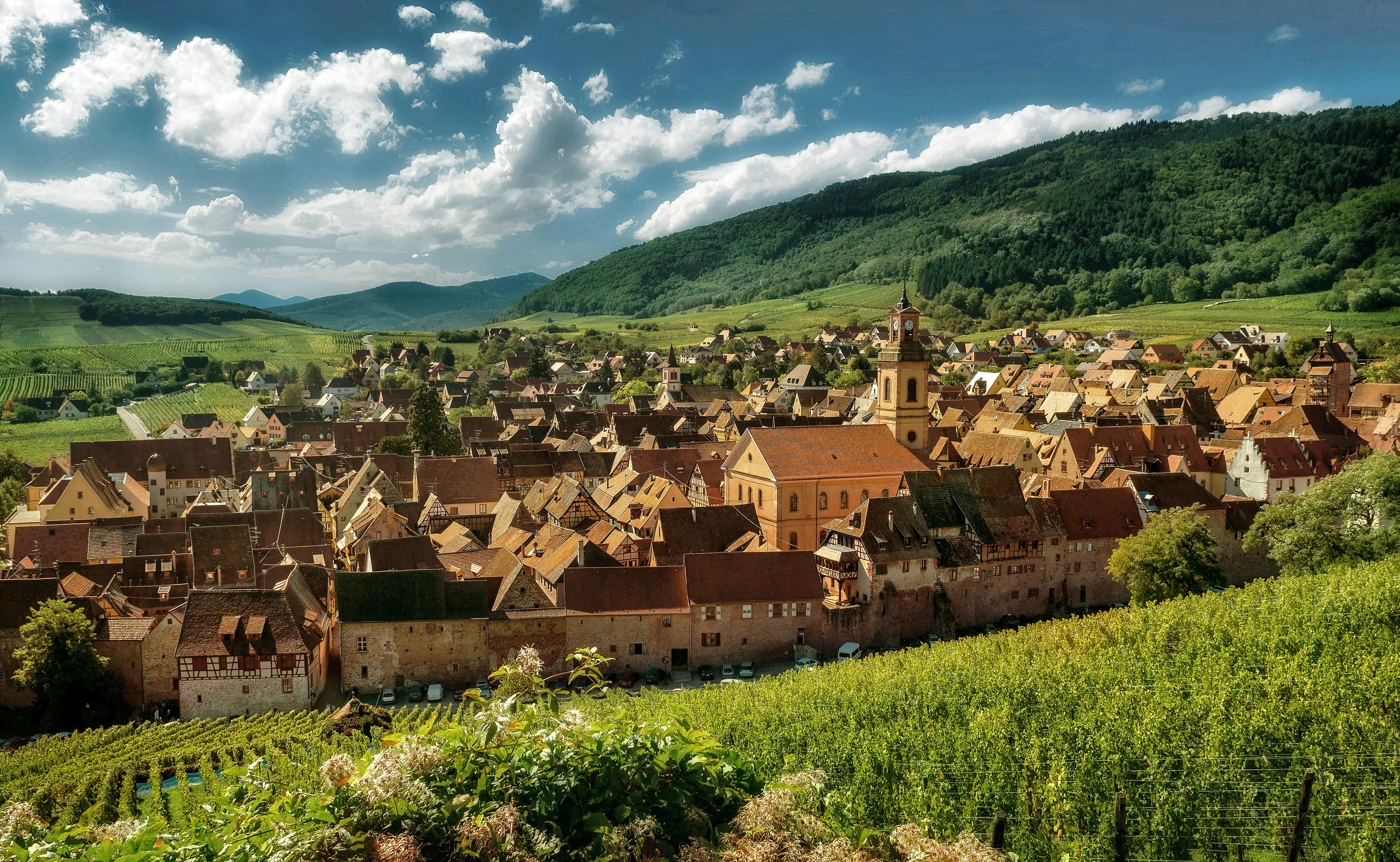 Full-day convertible car excursion on the Alsace wine route