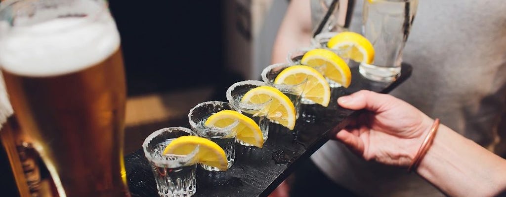 Premium 4-hours vodka and food tasting tour in Lodz