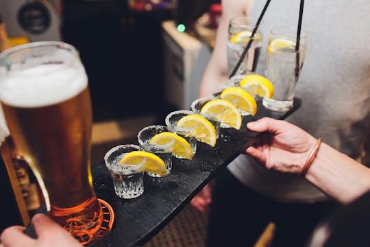Premium 4-hours vodka and food tasting tour in Lodz