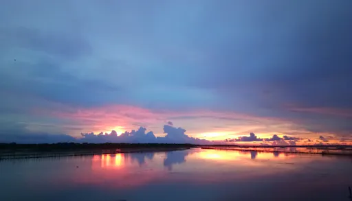 2021072260f9004d688fe.png