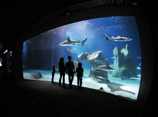 Billet d'entrée à l'aquarium de Gênes avec déjeuner